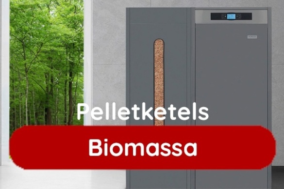 Biomassaketels